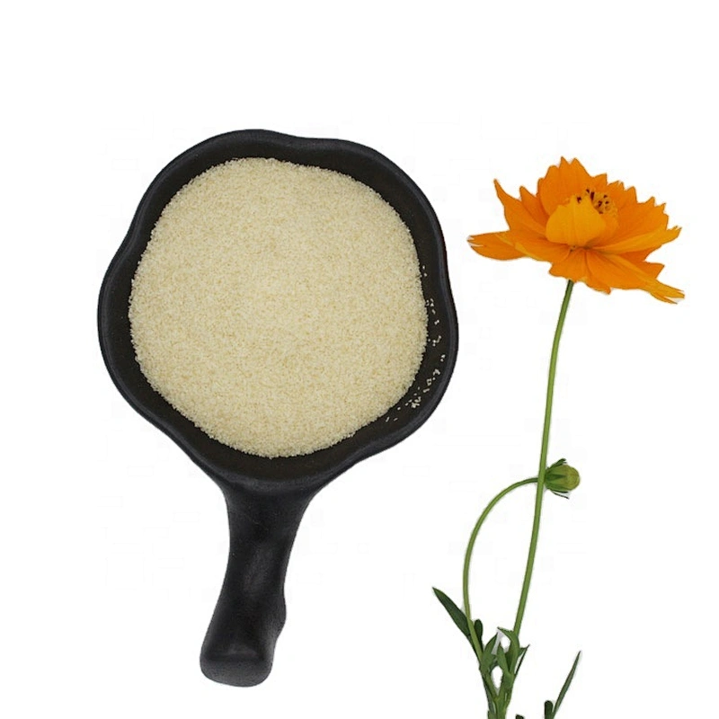 Halal Gelatin 2024 New Arrival Manufacturer Edible Gelatin 25kg/bag 120 240 250 Bloom food grade gelatin powder